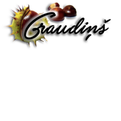 Graudiņš